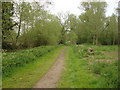 Footpath, Cornard Riverside Walk