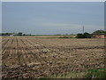 Stubble field