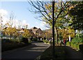 Dorset County Hospital - Autumn sunshine