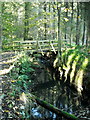 Bridge over Small Burn in Calderglen Country Park