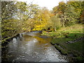 Rotten Calder Below Horseshoe Falls