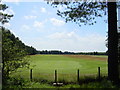 Formby Golf Club from Woodland Path