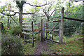 NM6964 : Kissing gate and deer fence, Salen oak woods by Mark Anderson