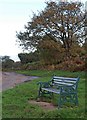 Bench on Clay Pits Lane