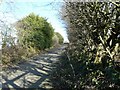 SJ9693 : Footpath to Hanging Bank by Gerald England