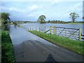 Flooded road near Halleaths