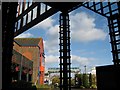 Dorset County Hospital - Trellis