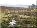NH6336 : Drumashie Moor from Water Board Road by Sarah McGuire