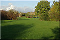 Brooklime Drive Open Space, Brownsover