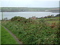 Track to Musselwick beach