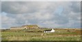 Pandy Cottage and the buildings of Bwlan Farm