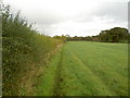 Footpath near Higher Shotton