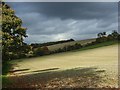 Farmland, Hughenden