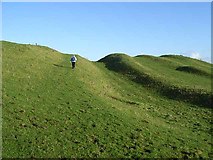 NZ0068 : The Vallum at Downhill by Oliver Dixon