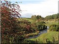 Kirkton Burn