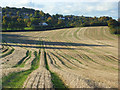 Farmland, Bledlow Ridge