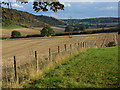 Farmland, Bledlow Ridge