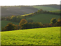 Pastures, Bledlow Ridge