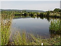 Orrin Trout Fishery