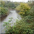 River Tame