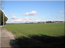 SU7605 : View from Tuppenny Lane across to the rear of Garsons Road by Basher Eyre