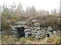 NS8384 : Tappoch Broch - southern side by Lairich Rig