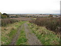 Spinkhill Footpath - View in the direction of Renishaw