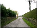 Footpath - Binns Lane