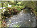 Dartmoor: West Webburn River