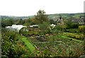 Allotments - Colne Road