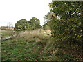 Brafferton old railway bridge