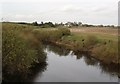 The Swale, north of Brafferton