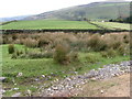 Towards Throstle and Lantern Pike