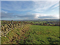 NS3055 : Countryside above Kilbirnie by wfmillar