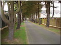 Road Leading to Chilwell Cemetery