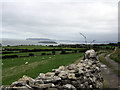 Puffin Island