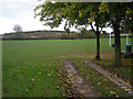 Playing Fields at Gatacre Ave