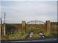 Fancy gate to Pit Lane, footpath to Denholme