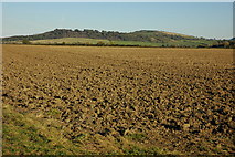 SO9332 : Oxenton Hill viewed from the west by Philip Halling