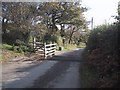 Cattle Grid on Green Lane