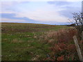 Cae Amaethyddol ger Caledrhydiau / Agricultural Field near Caledrhydiau
