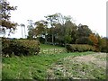 Autumn colours, High Seat