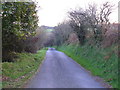 Lon wledig ger Esgairowen / Country lane near Esgairowen