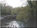 Pond, ducks and bridge, Fonmon, Vale of Glamorgan