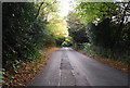 Small Kentish byway in the trees, Smarts Hill