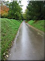 Road and footpath through Arundel Park