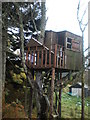 Tree House on Common Ground in Glenlia