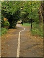 Dual use path, Wandsworth Common