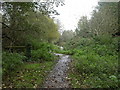 Mude Valley Nature Reserve