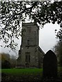 Ebbesbourne Wake: foliage overhanging churchyard